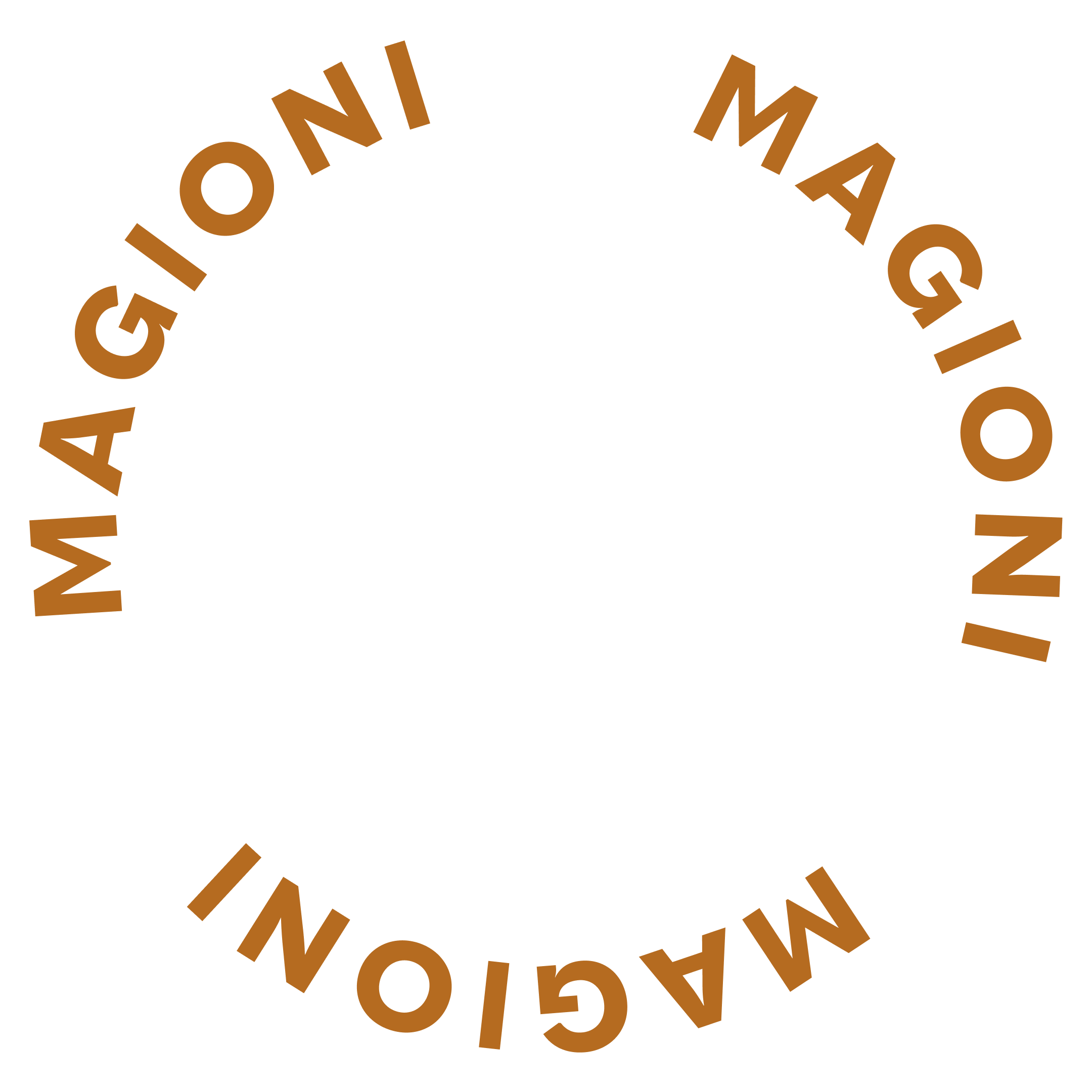 magioni logo