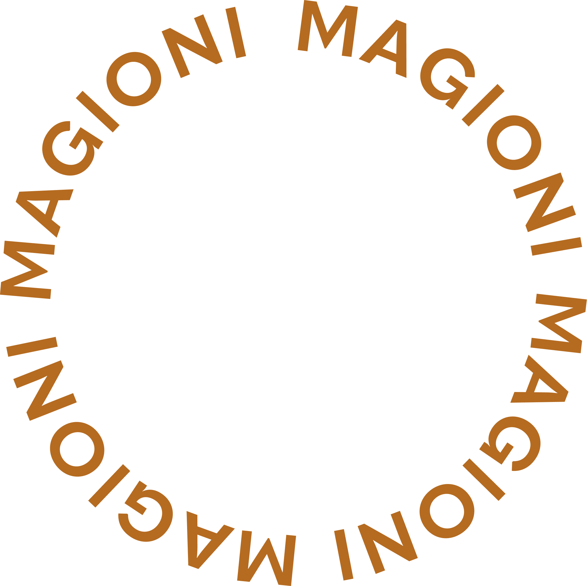 magioni logo